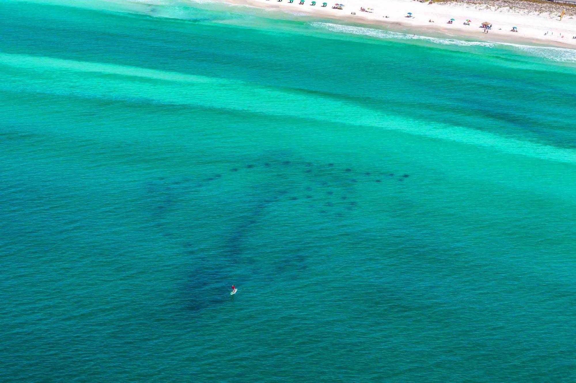 Beach Resort 406 Destin Buitenkant foto